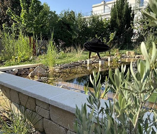 Baignade naturelle 2025-07-01 15