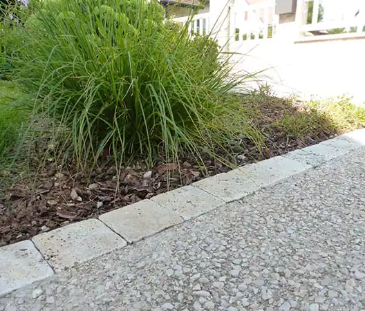 Béton désactivé et massif paysager