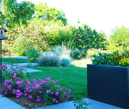 Jardin Hauteville-Lès-Dijon, photo 6