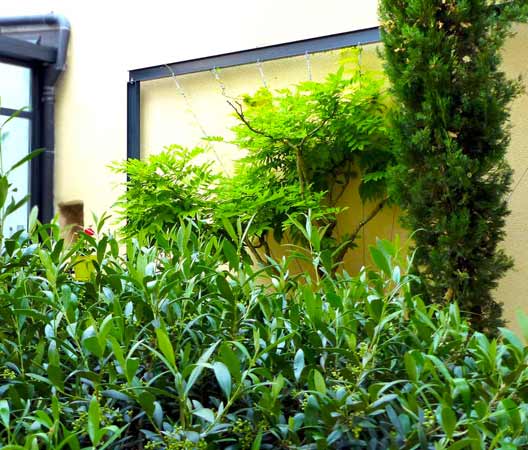 Jardin de ville dans le centre historique de Dijon, photo 20