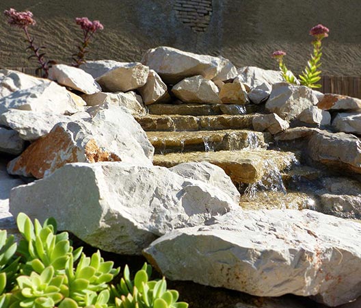 Jardin zen à Dijon, photo 16