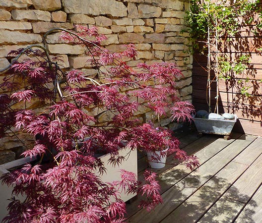 Terrasse jardin 16