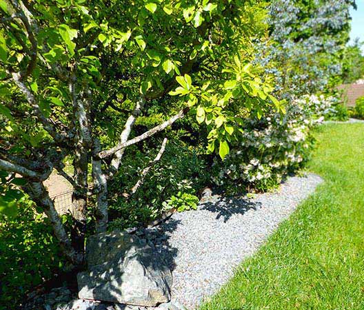 Jardin suspendu en Bourgogne photo  12