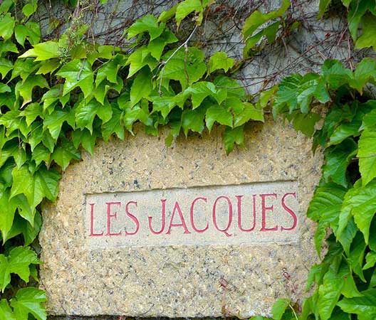 Paysagiste dans un château Beaujolais 24