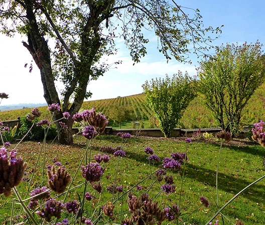 Jardin Bourguignon 1