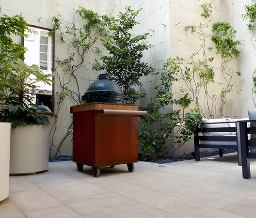 Jardin Urbain 11