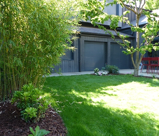 Jardin verdoyant
