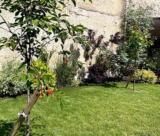 massif d'arbustes et fruitiers