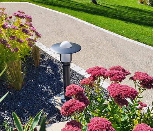 Aménagement vegetal au bord d'une allee